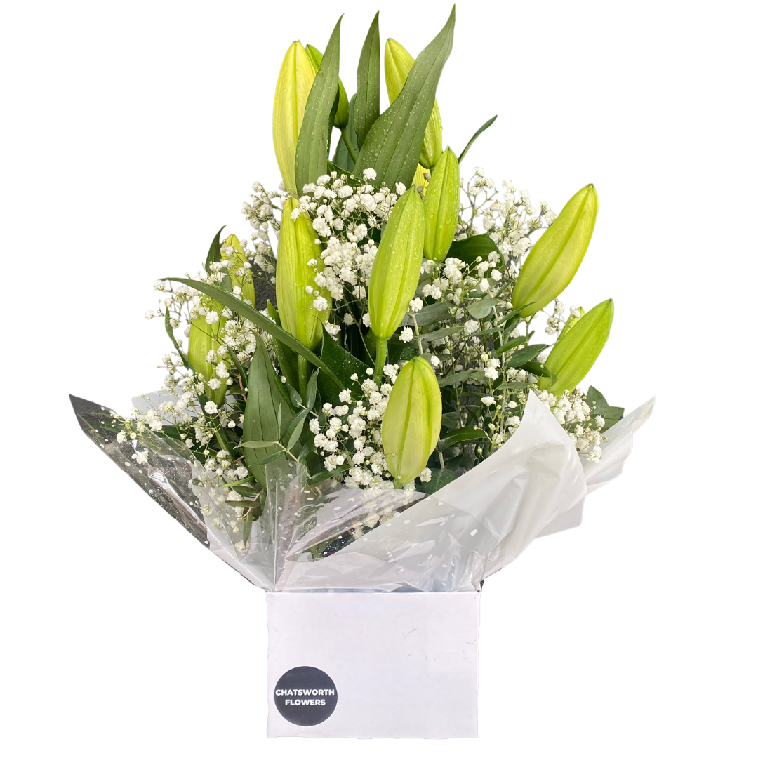 Large Box of Oriental Liliums (Round) - Chatsworth Flowers