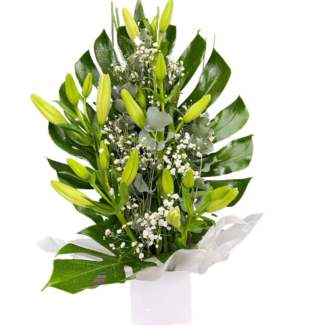 Small Box of Liliums - Chatsworth Flowers