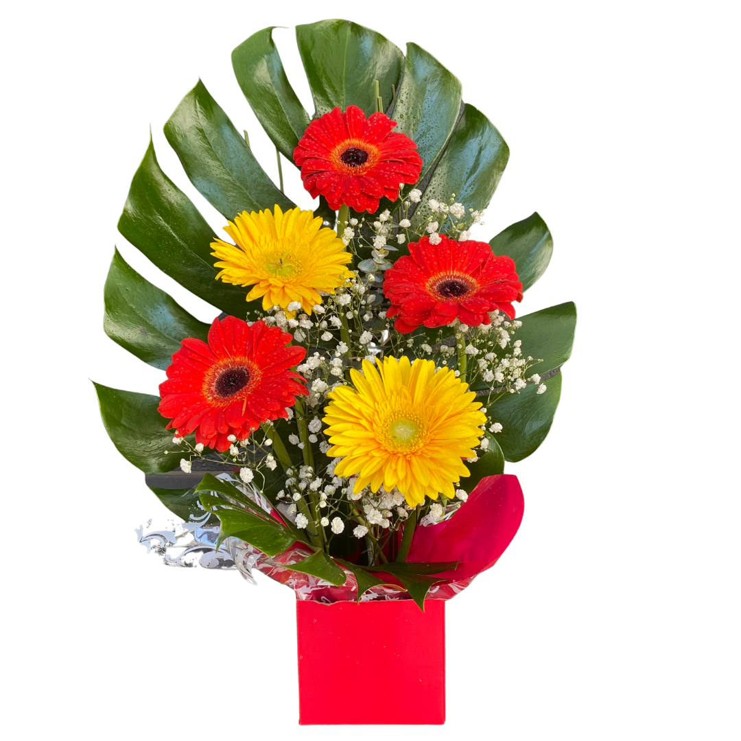 Small Box of Gerberas - Chatsworth Flowers