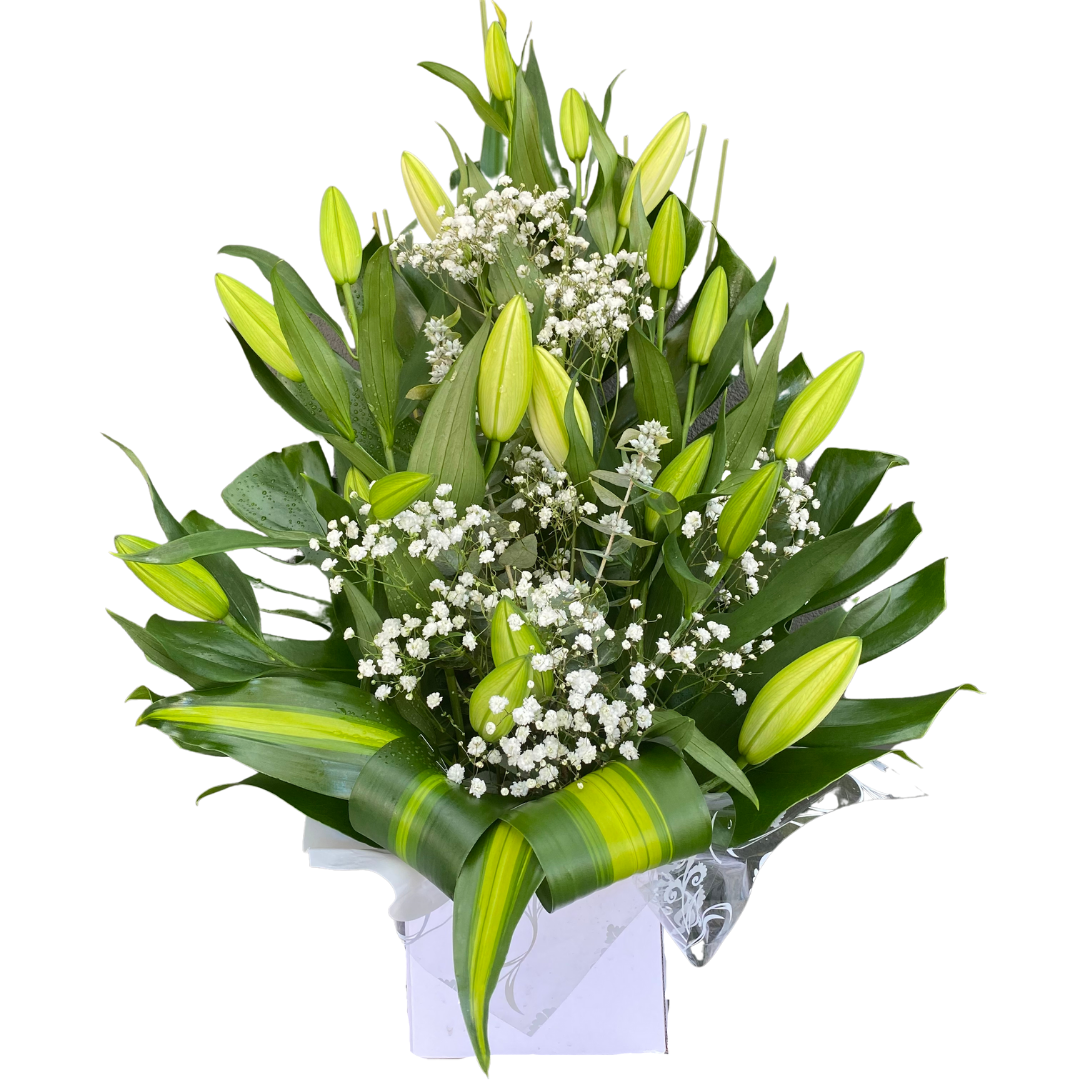 Large Box of Oriental Liliums - Chatsworth Flowers