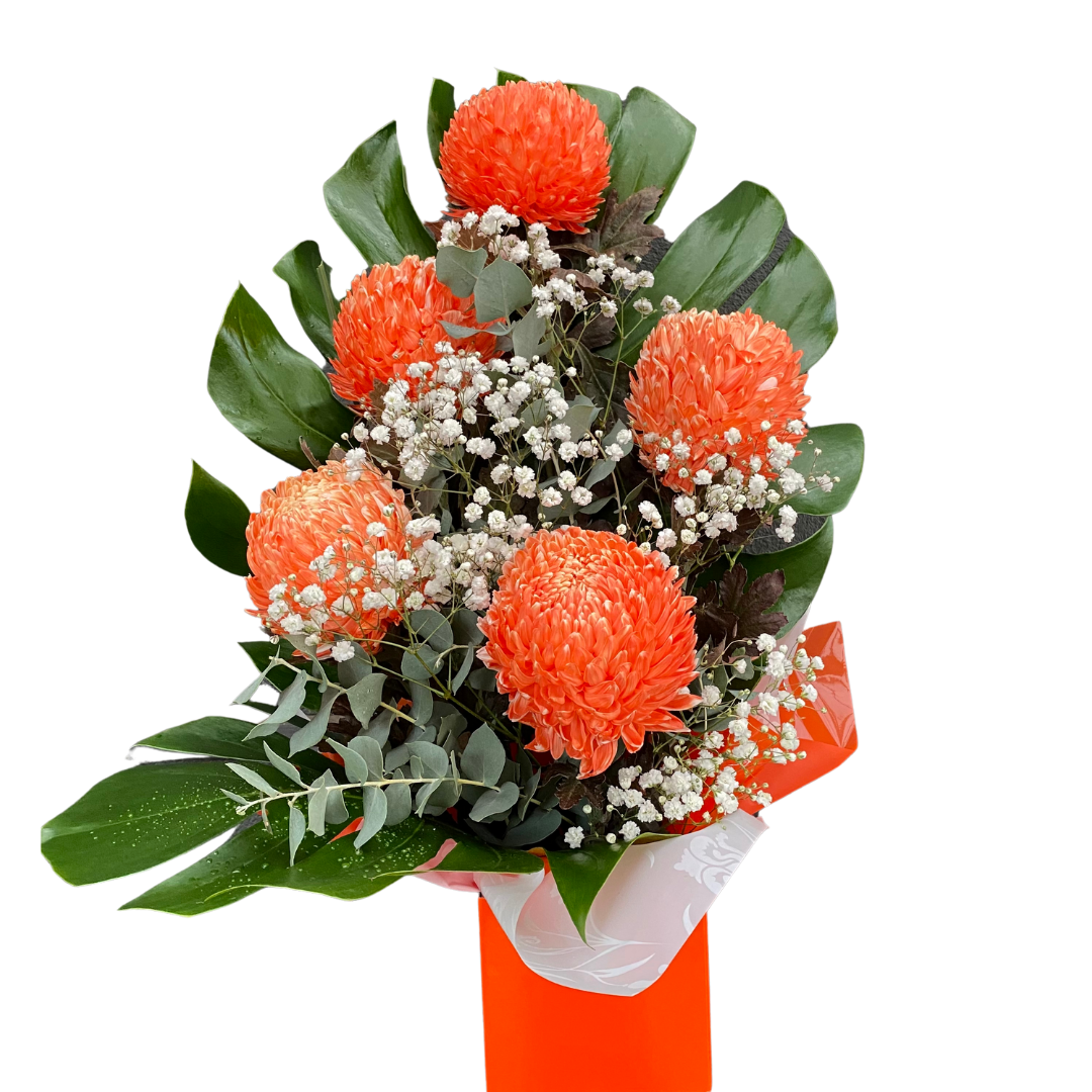 Small Box of Chrysanthemum Disbuds - Chatsworth Flowers