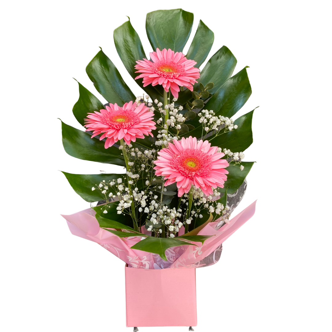 Small Box of Gerberas - Chatsworth Flowers