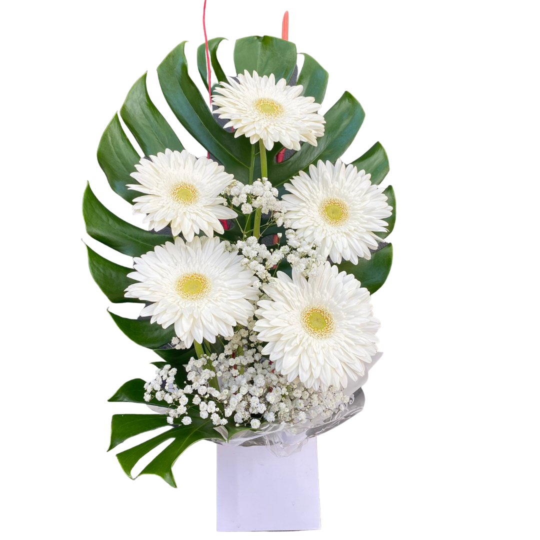 Small Box of Gerberas - Chatsworth Flowers
