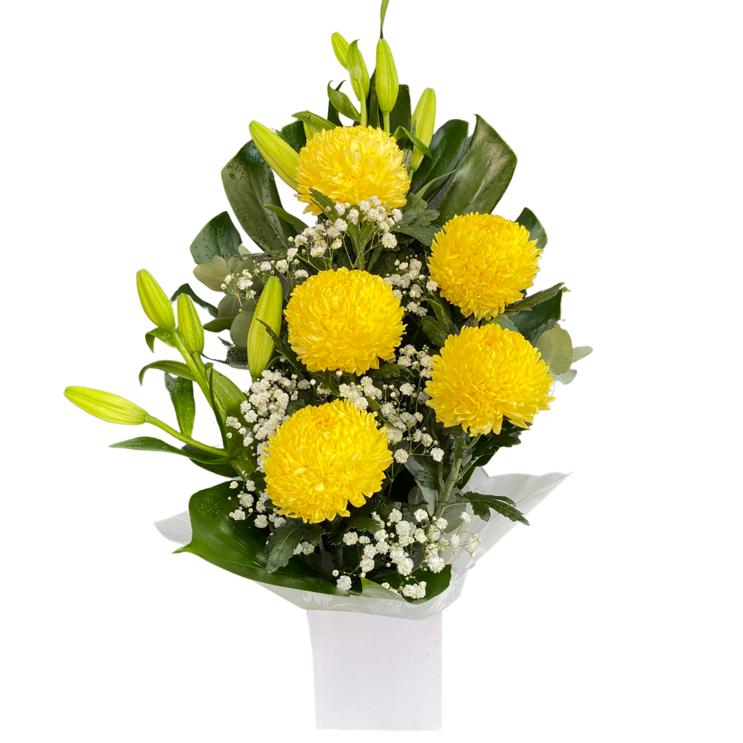 Box of Disbuds/Liliums - Chatsworth Flowers