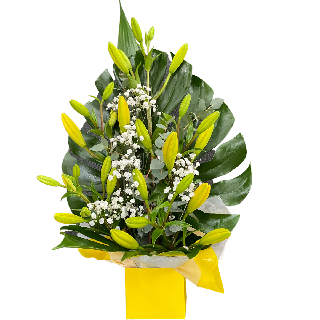 Small Box of Liliums - Chatsworth Flowers