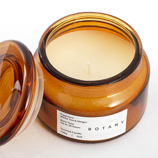 Koch & Co | Botany Scented Candle Jar - White Tea & Ginger - 150g