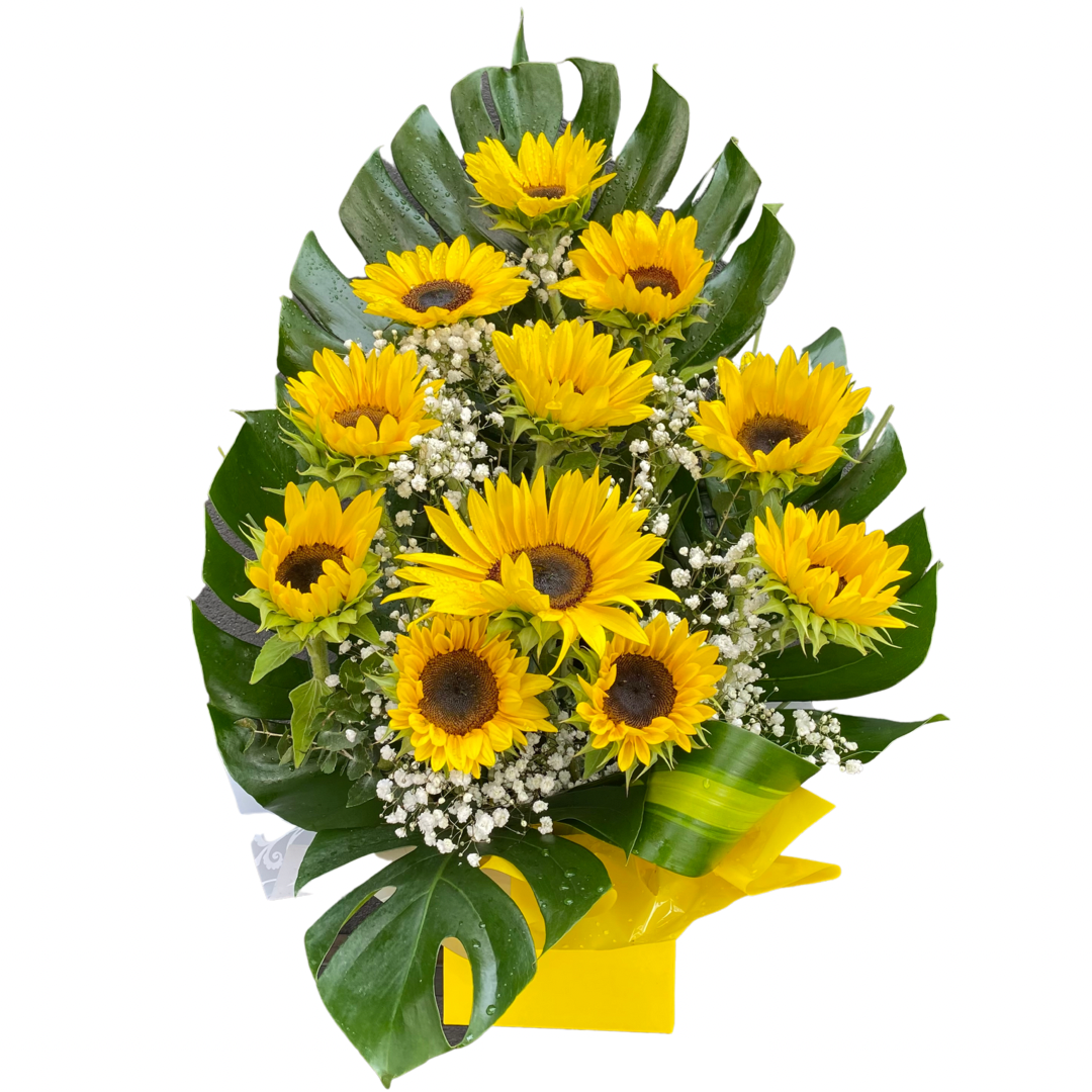 Box of Sunflowers - Chatsworth Flowers