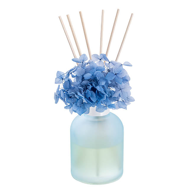 Infinity Scented Diffuser 100ml - Chatsworth Flowers