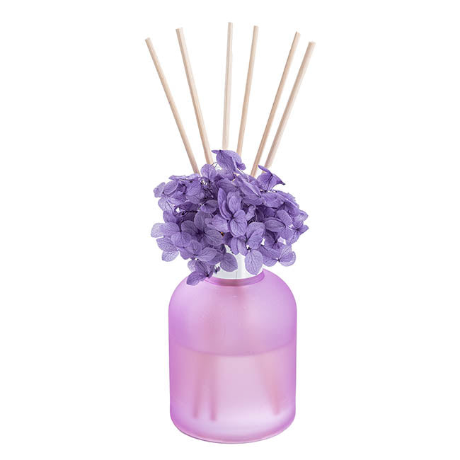 Infinity Scented Diffuser 100ml - Chatsworth Flowers