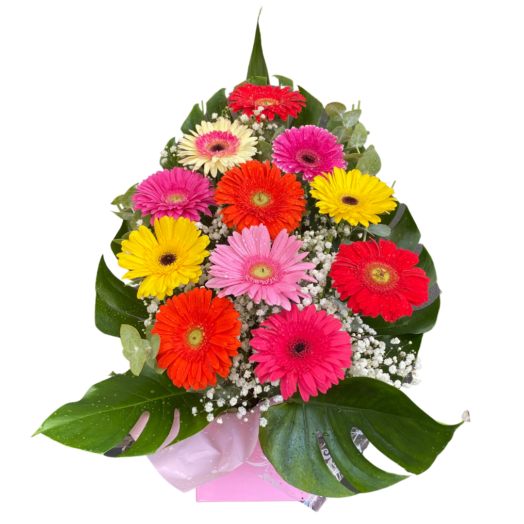 Large Box of Gerberas - Chatsworth Flowers