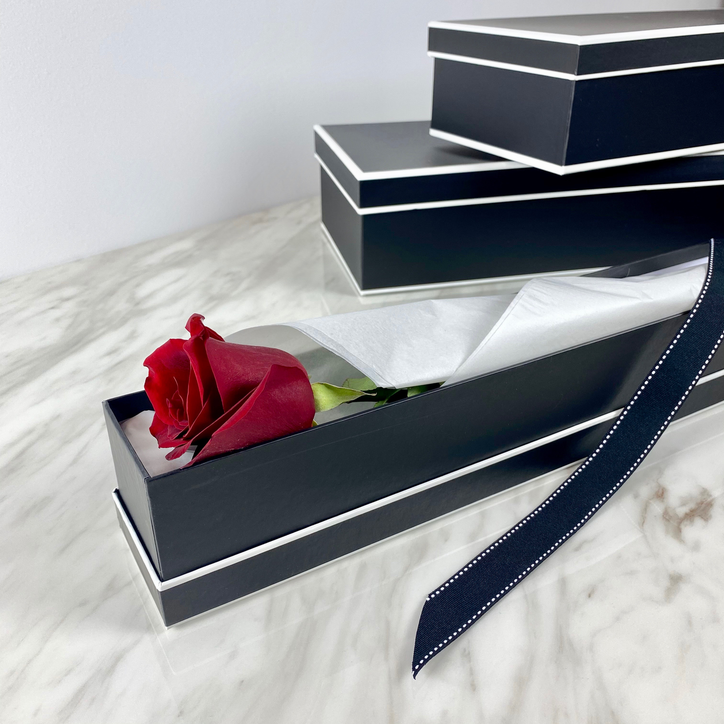 Single Long Stem Rose in Signature Box - Chatsworth Flowers