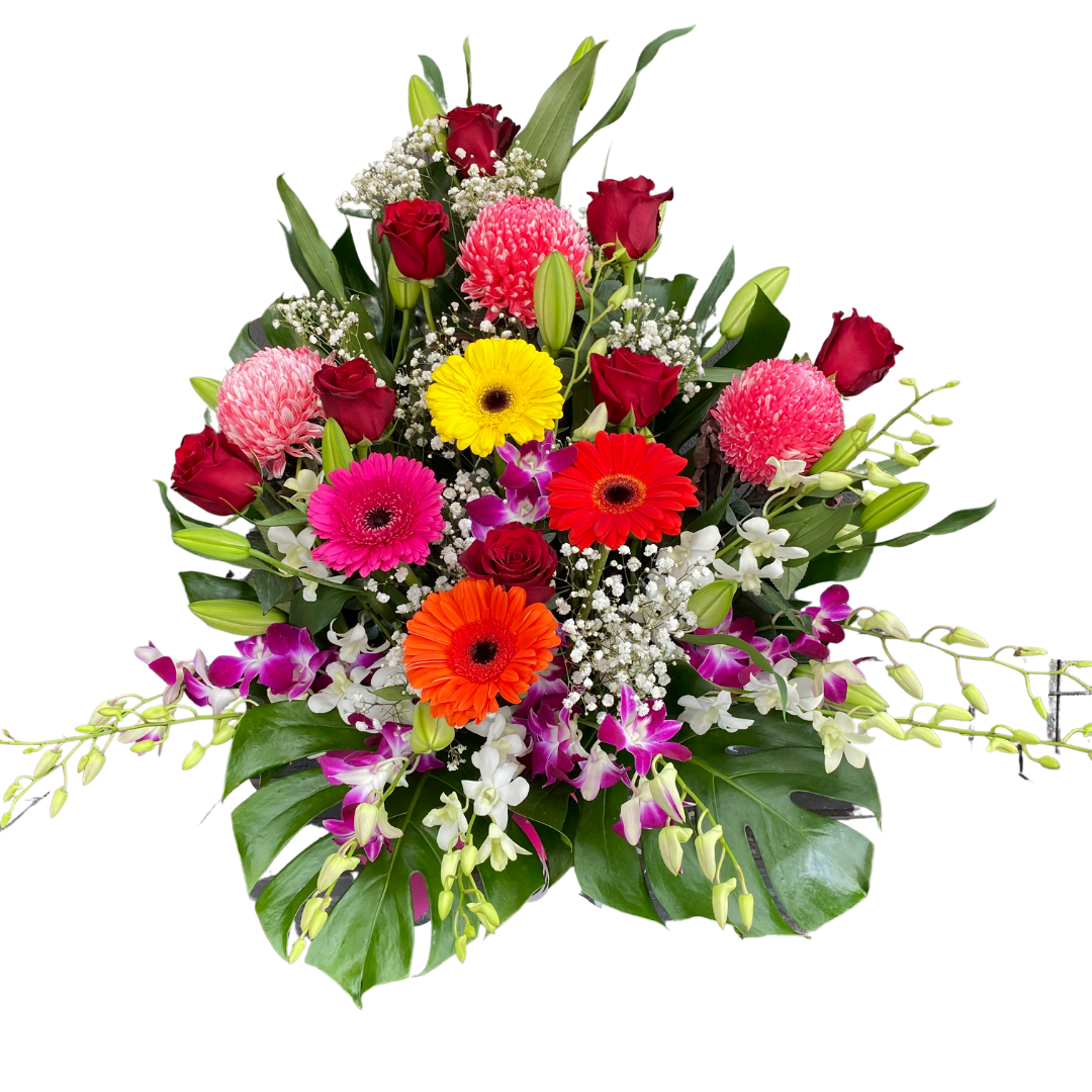 Extra Large Box Arrangement - Assorted - Chatsworth Flowers