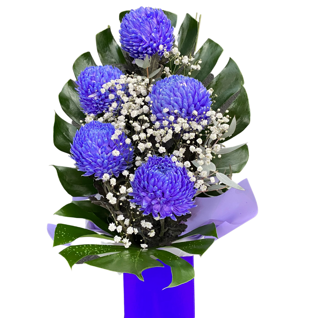 Small Box of Chrysanthemum Disbuds - Chatsworth Flowers
