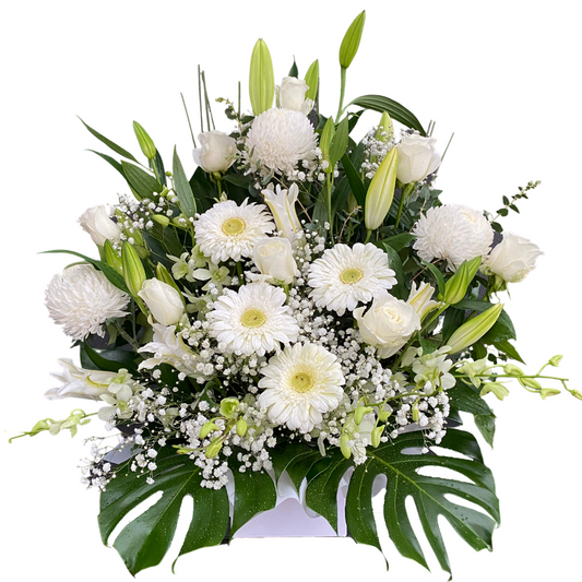 Extra Large Box Arrangement - Assorted - Chatsworth Flowers