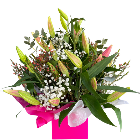 Large Box of Oriental Liliums (Round) - Chatsworth Flowers