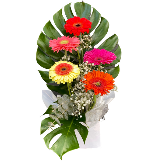 Small Box of Gerberas - Chatsworth Flowers