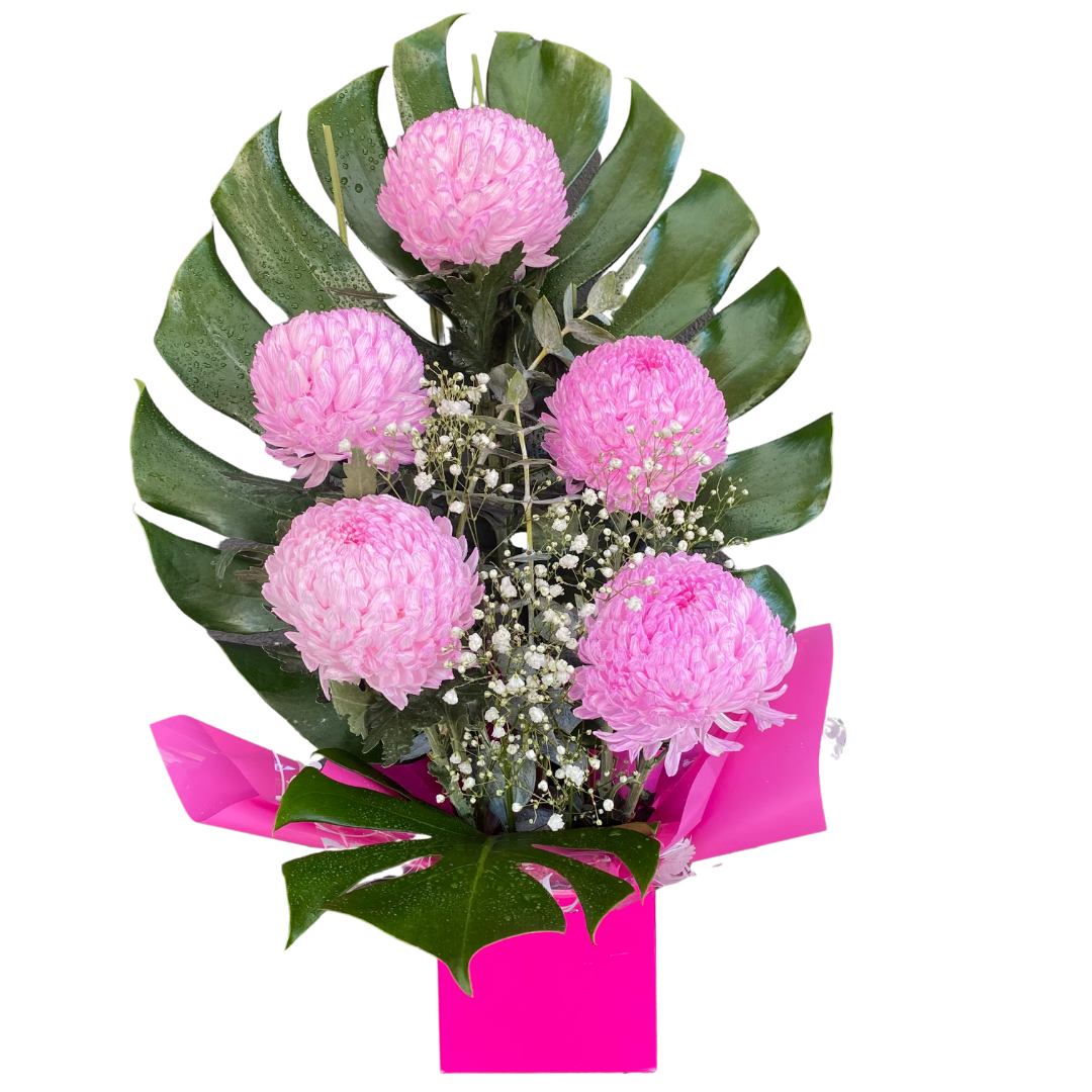 Small Box of Chrysanthemum Disbuds - Chatsworth Flowers