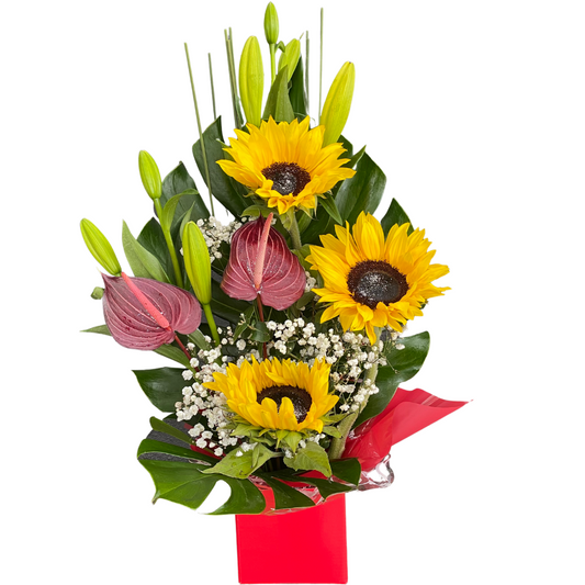 Small Box of Sunflowers/Liliums/Anthuriums - Chatsworth Flowers