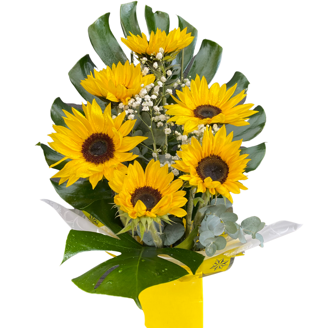 Box of Sunflowers - Chatsworth Flowers