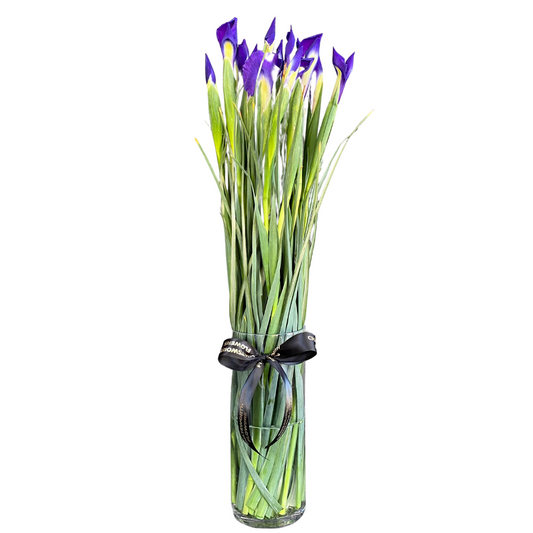 Vase Arrangement Iris Chatsworth Flowers