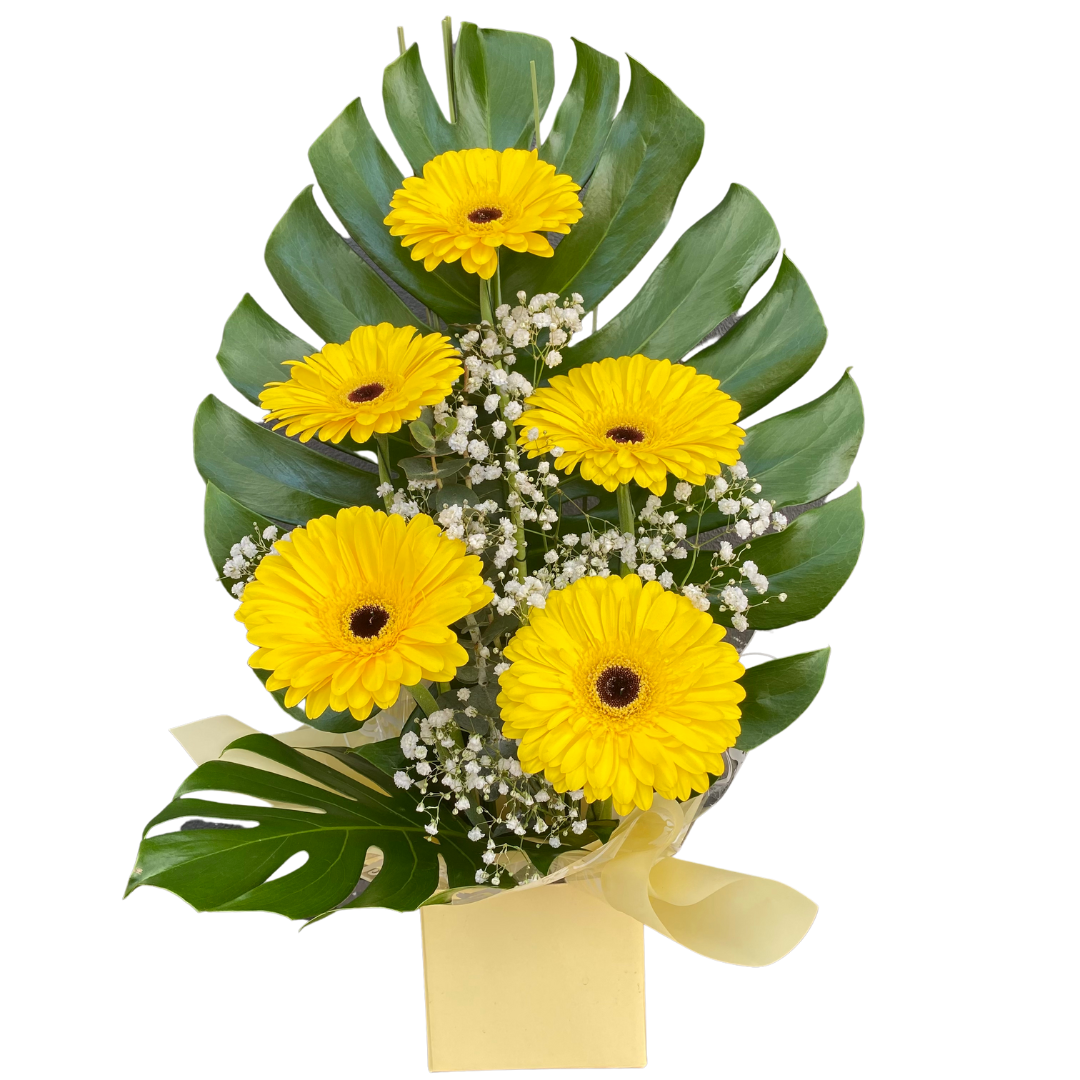 Small Box of Gerberas - Chatsworth Flowers